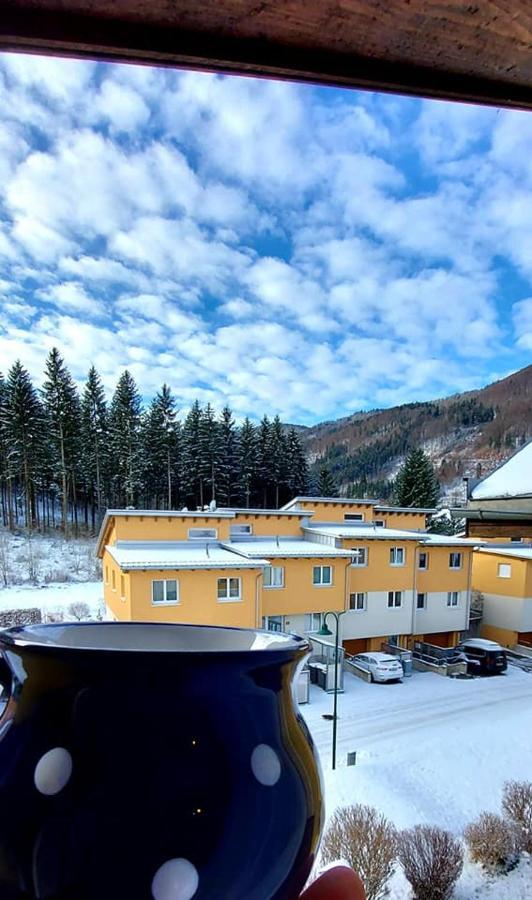 Ferienwohnung Bergspass Gaming 외부 사진