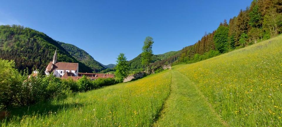 Ferienwohnung Bergspass Gaming 외부 사진